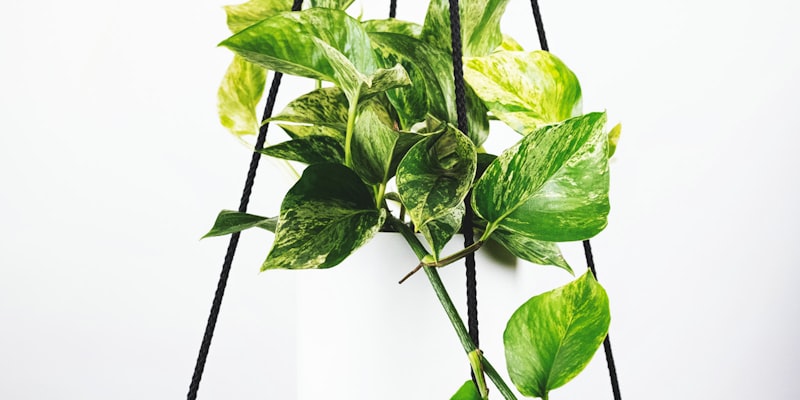 梅西在训练中展示精湛球技，面带微笑